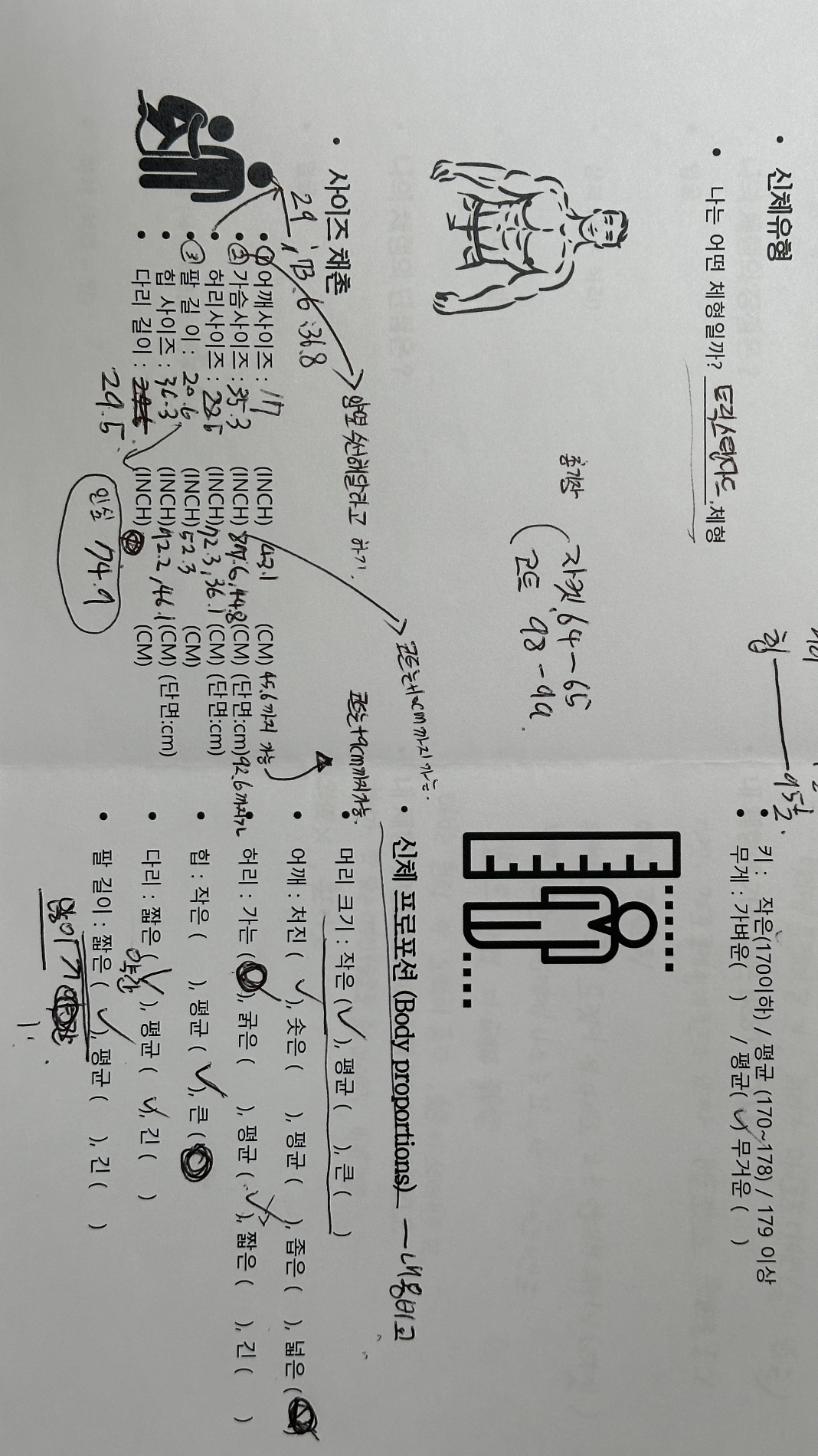 신체유형 분석
